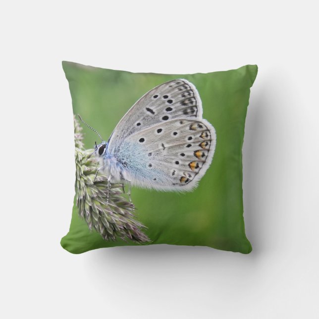 Blauer Schmetterling im Gras Kissen (Vorderseite)