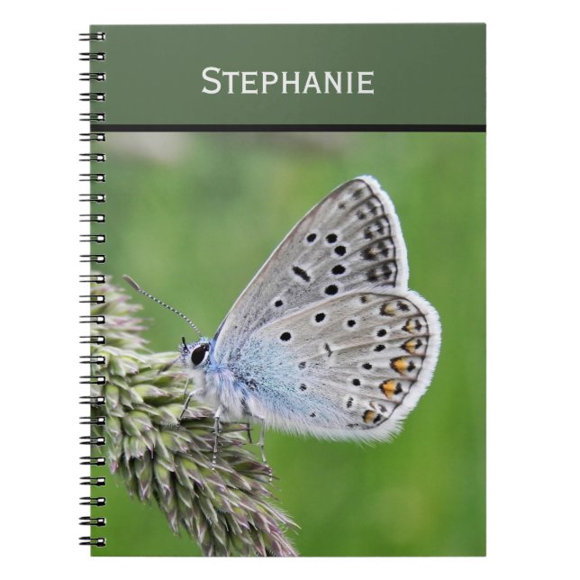 Blauer Schmetterling im Gras Notizblock (Vorderseite)