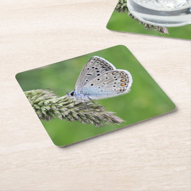 Blauer Schmetterling im Gras Rechteckiger Pappuntersetzer (angewinkelt)