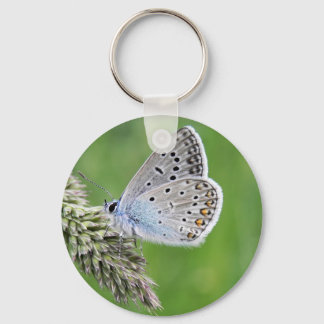 Blauer Schmetterling im Gras Schlüsselanhänger
