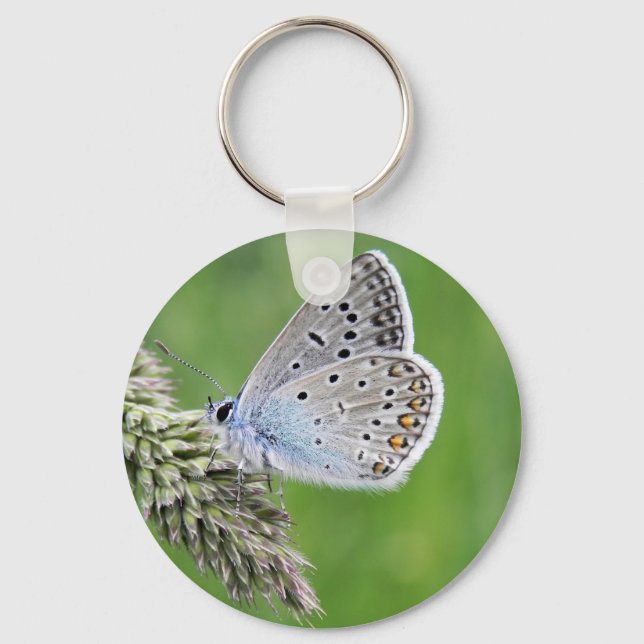 Blauer Schmetterling im Gras Schlüsselanhänger (Vorderseite)