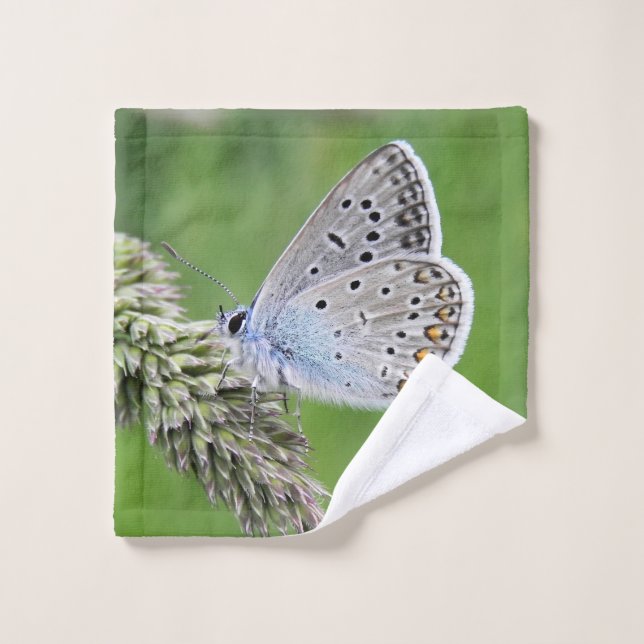 Blauer Schmetterling im Gras Waschlappen (Waschlappen)