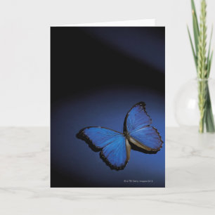 Blauer Schmetterling Karte