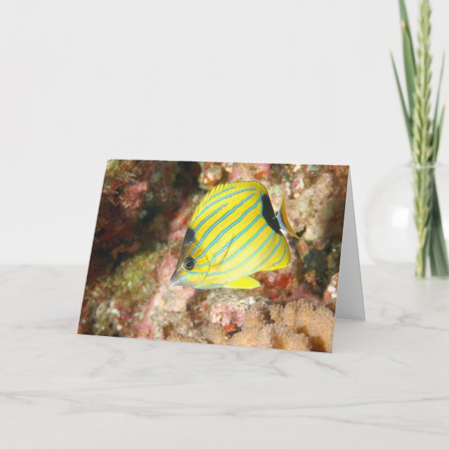 Blauer Schmetterling Karte (Vorderseite)