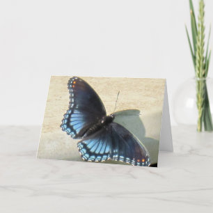 Blauer Schmetterling Karte