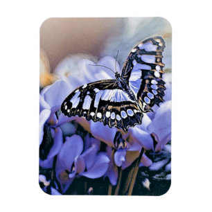 Blauer Schmetterling Magnet