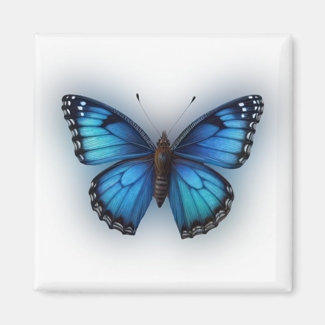 Blauer Schmetterling Magnet (Vorne)