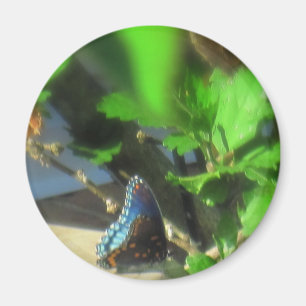 Blauer Schmetterling Magnet