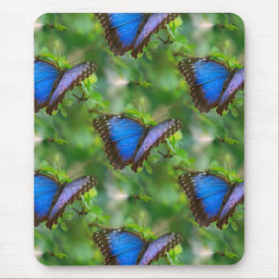 Blauer Schmetterling Mousepad