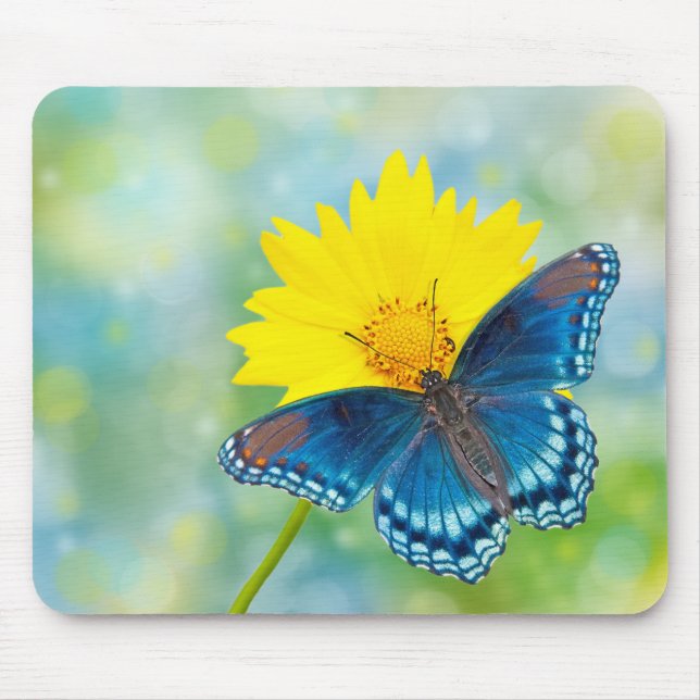 Blauer Schmetterling Mousepad (Vorne)