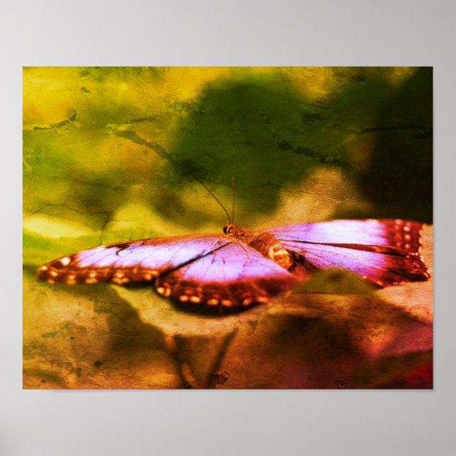 Blauer Schmetterling Natur gestresste Kunst Poster (Vorne)