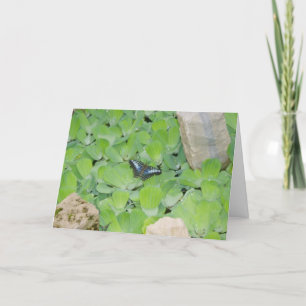 "Blauer Schmetterling" Osternkarte Karte