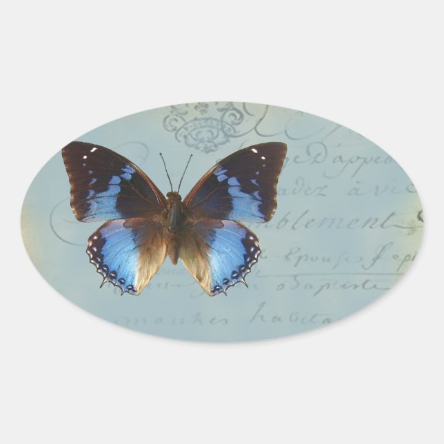 Blauer Schmetterling Ovaler Aufkleber (Vorderseite)