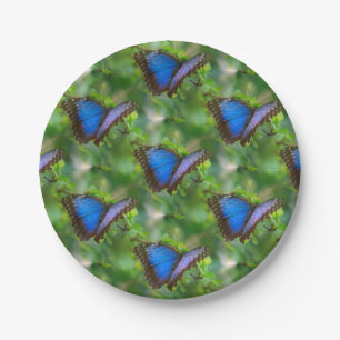 Blauer Schmetterling Pappteller
