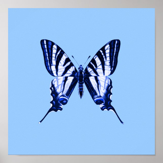 Blauer Schmetterling Poster (Vorne)