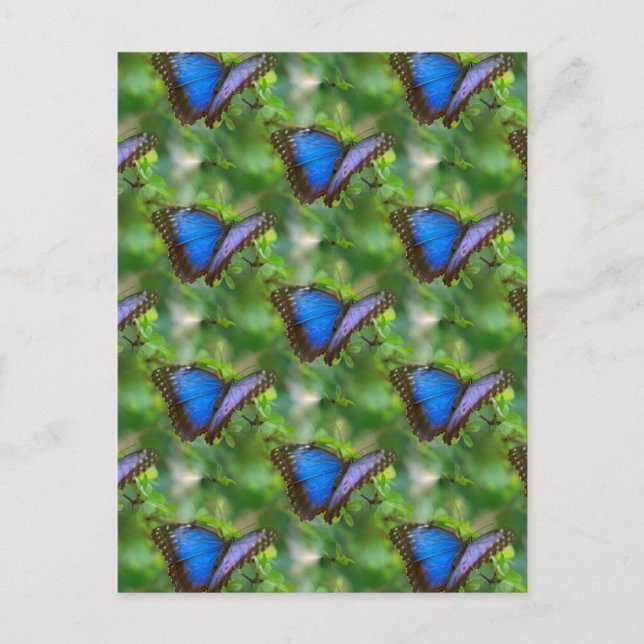 Blauer Schmetterling Postkarte (Vorderseite)