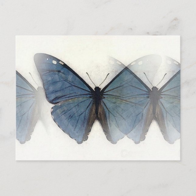 Blauer Schmetterling Postkarte (Vorderseite)