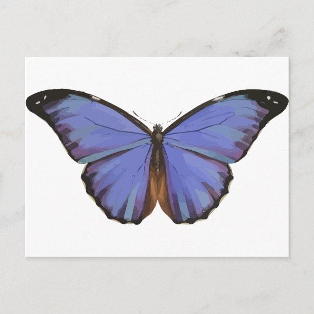 Blauer Schmetterling Postkarte (Vorderseite)