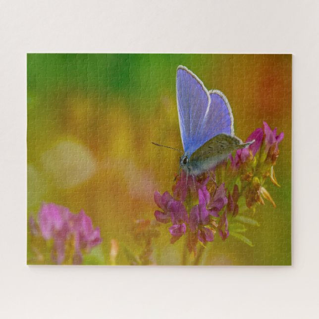 Blauer Schmetterling. Puzzle (Horizontal)
