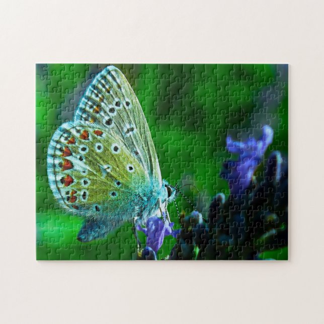 Blauer Schmetterling. Puzzle (Horizontal)