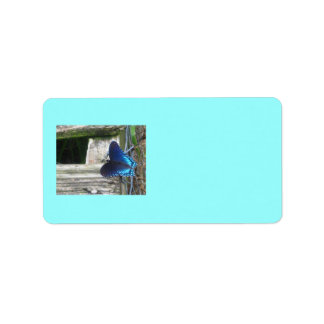 Blauer Schmetterling-Rückhalteschild Adressaufkleber