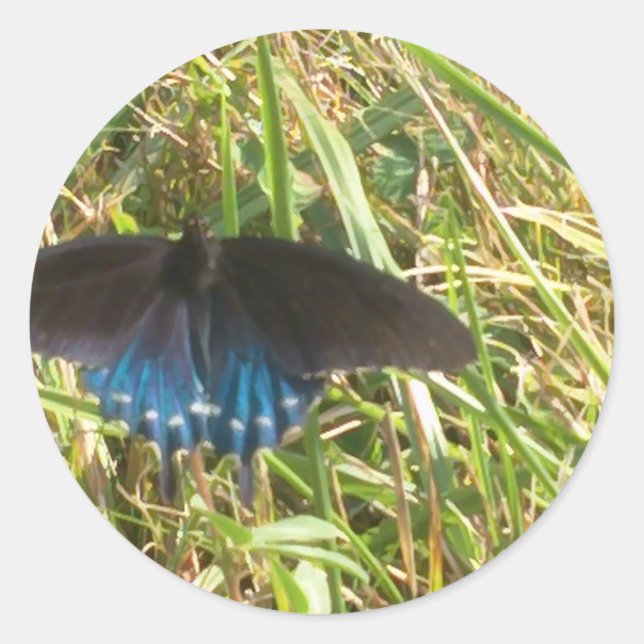 Blauer Schmetterling Runder Aufkleber (Vorderseite)