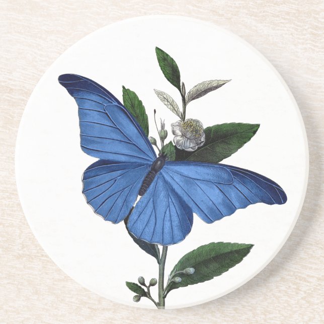 Blauer Schmetterling Sandstein Untersetzer (Vorne)