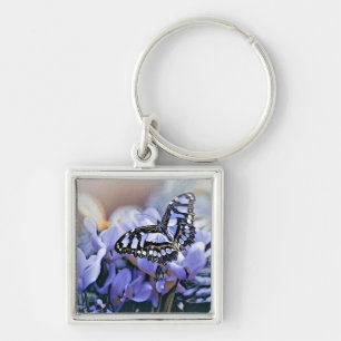 Blauer Schmetterling Schlüsselanhänger