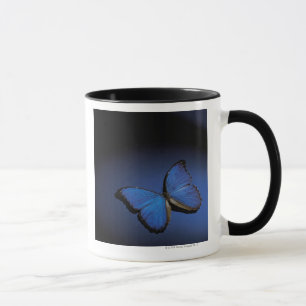 Blauer Schmetterling Tasse