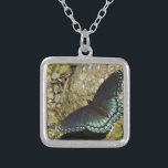 Blauer Schmetterling Versilberte Kette<br><div class="desc">Blauer Schmetterling</div>