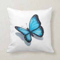 Blauer Schmetterling, zeichnender Farbbleistift,