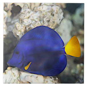 Blauer Schmetterlingsfisch Korallenriff Ozean Fisc Fliese