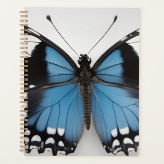 Blauer Schmetterlingsplaner Planer