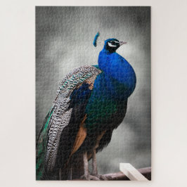 Blauer Schwarzweiss-Pfau 1014 Stücke erwachsen Puzzle