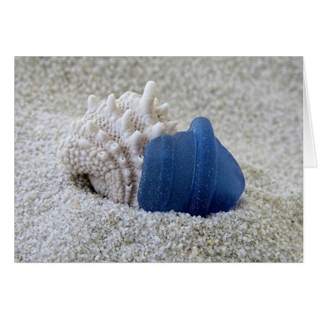 Blauer Seeglatt und Seashell (Vorderseite (Horizontal))