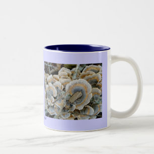 Blauer Shelf Fungus Tasse