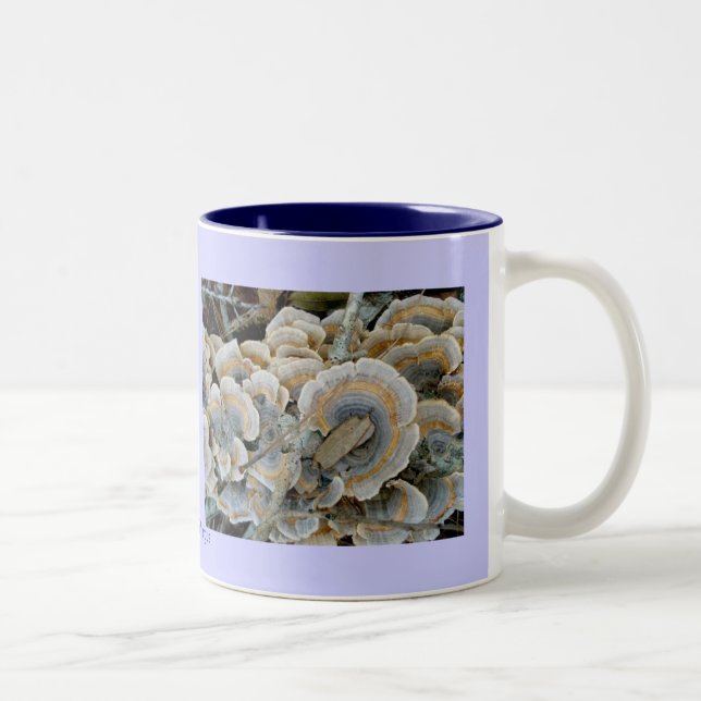 Blauer Shelf Fungus Tasse (Rechts)
