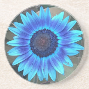 Blauer Sonnenblumen-Untersetzer Getränkeuntersetzer