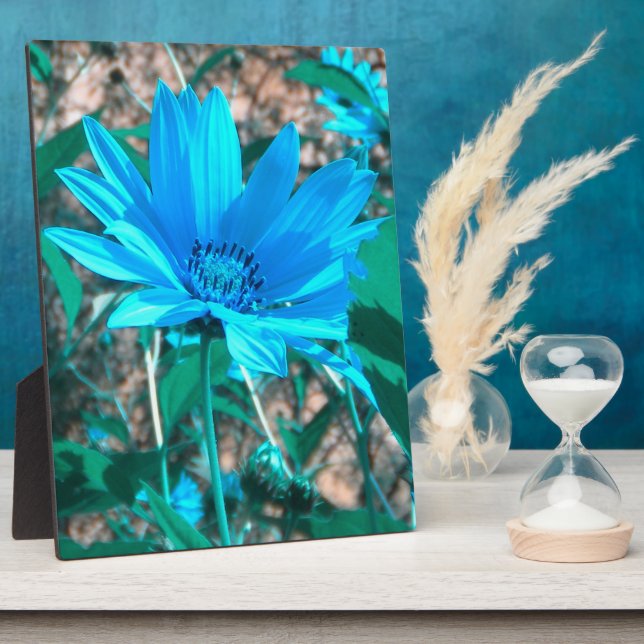 Blauer Sonnenblumenschild Foto Fotoplatte (Seite)