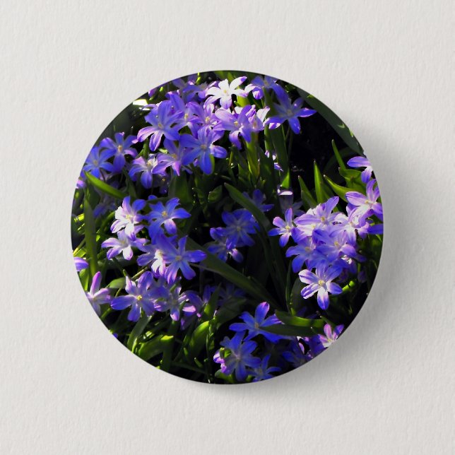 Blauer Squill Spring Blumen Button (Vorderseite)