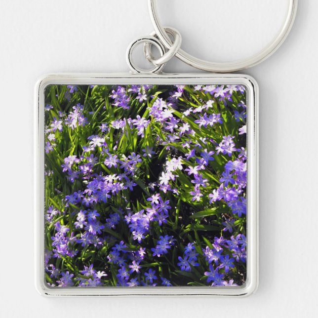Blauer Squill Spring Blumen Schlüsselanhänger (Vorne)