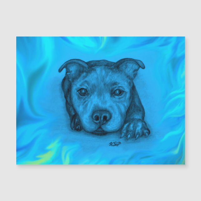 Blauer Staffy-Welpe Magnetkarte (Vorderseite)