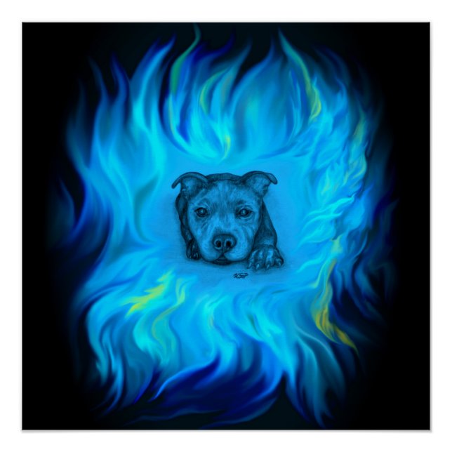 Blauer Staffy-Welpe Poster (Vorderseite)
