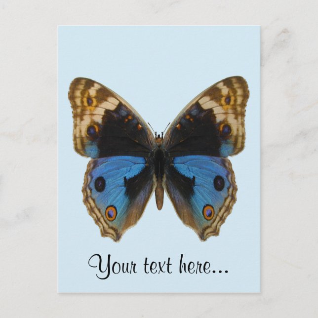 Blauer Stiefmütterchen-Schmetterling Postkarte (Vorderseite)