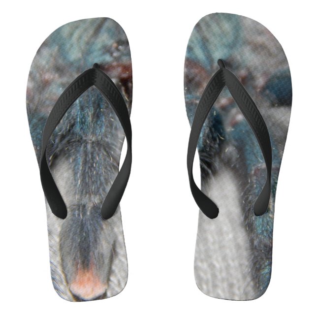 Blauer Tarantel Flip Flops (Fußbett)