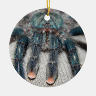Blauer Tarantel Keramik Ornament