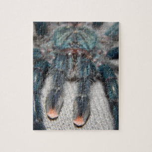 blauer Tarantula Puzzle