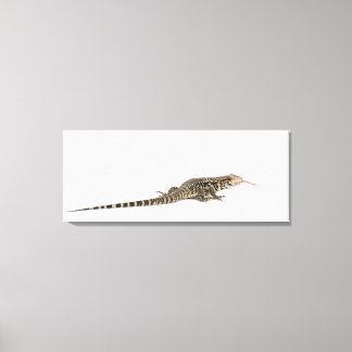 Blauer Tegu - Tupinambis merianae Leinwanddruck