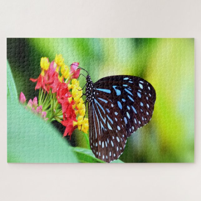 Blauer Tiger Tirumala Hamata Schmetterling. Puzzle (Horizontal)