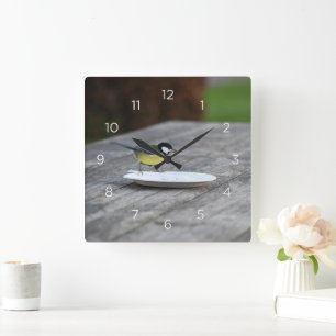 Blauer Tit Bird Fütternd auf Plättchen Quadratische Wanduhr